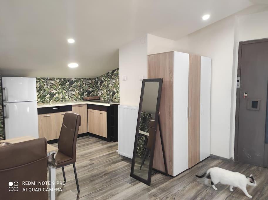 Appartement Σοφίτα Καλλύνω à Thessalonique Extérieur photo